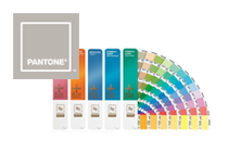 pantone