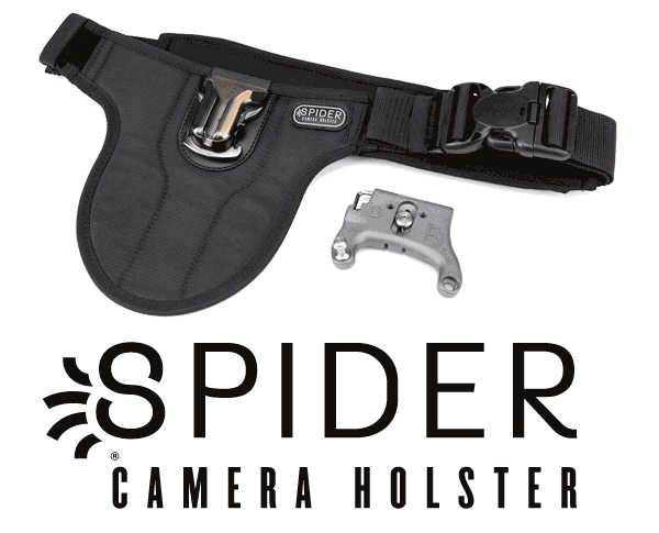 Spider Holster