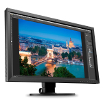 eizo cs2420